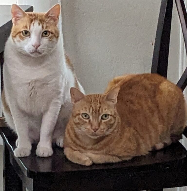 मी पिदू आणि हा दनू…