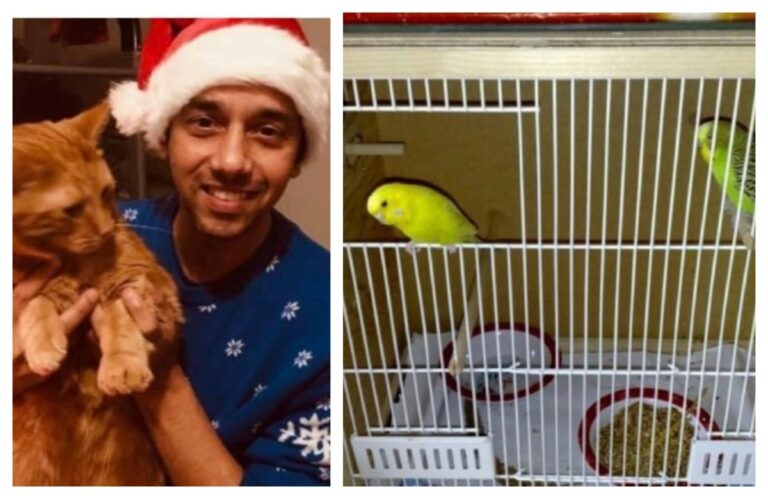 माझे सखे सोयरे