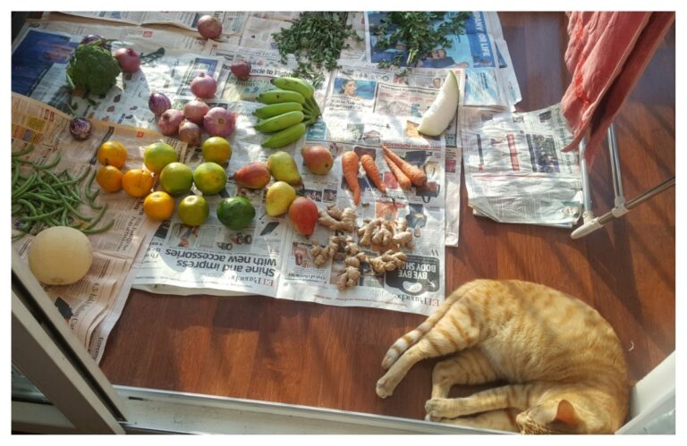 अवांतर, मराठीकथा, मराठीलेखन, मराठीआवृत्ती, मराठीसाहित्य, मराठीलेखक, मराठीमनोरंजन, मराठीवेबसाइट, मराठीआर्टिकल, मराठीस्टोरी, दनू, पिदू, ट्विस्ट