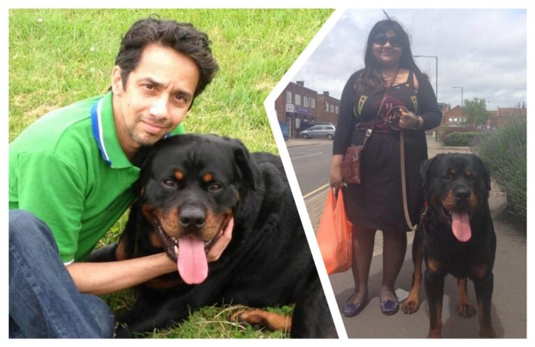 मजबूत, पण प्रेमळ टायसन अवांतर, मराठीकथा, मराठीलेखन, मराठीआवृत्ती, मराठीसाहित्य, मराठीलेखक, मराठीमनोरंजन, मराठीवेबसाइट, मराठीआर्टिकल, मराठीस्टोरी, टायसन, रोटवीलर