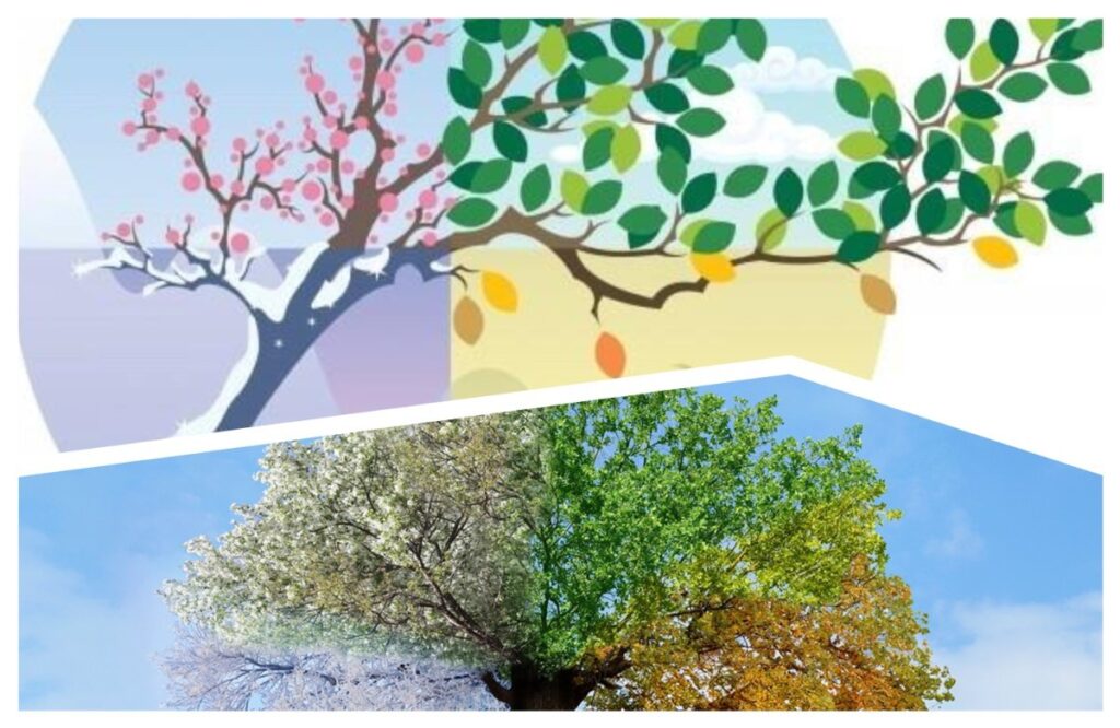 अवांतर, मराठीकथा, मराठीलेखन, मराठीआवृत्ती, मराठीसाहित्य, मराठीलेखक, मराठीमनोरंजन, मराठीवेबसाइट, मराठीआर्टिकल, मराठीस्टोरी, ऋतुरंग, शिशिर, श्रावण, गुढीपाडवा, शिशिर