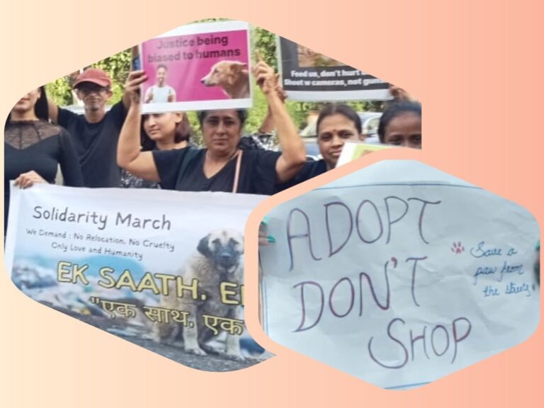 अवांतर, मराठीकथा, मराठीसाहित्य, मराठीलेख, मराठीआर्टिकल, Stray dogs, Injustice to dogs, Dog Lovers, Dog Haters, श्वानप्रेमी, प्राणीमित्र, सुप्रीम कोर्ट, भटके कुत्रे, कुत्र्यांवर अन्याय, डॉगेशभाई