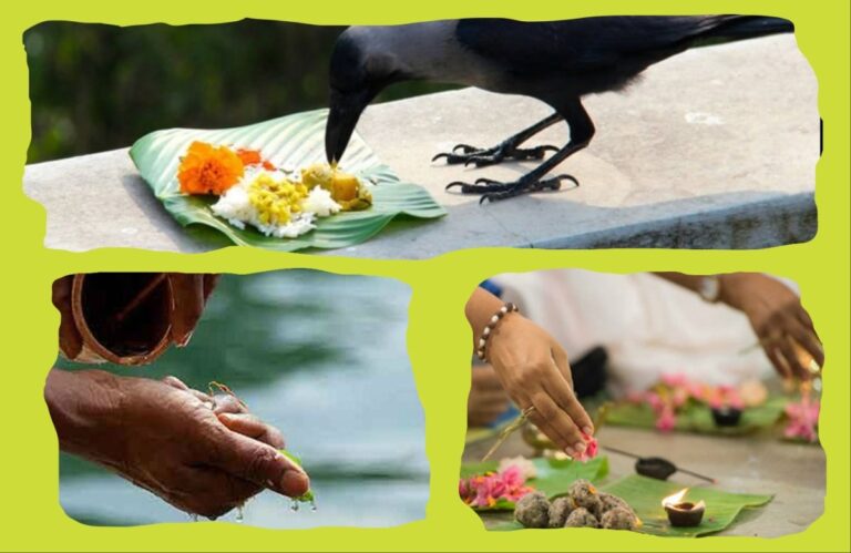 Pitru Paksha 2025 : पितृपक्षाचे महत्त्व आणि समज–गैरसमज अवांतर, कथा, लघुकथा, लेख, स्टोरीज, पितृपक्ष, पितृपंधरवडा, तर्पण, श्राद्ध, पितरे, पिंडदान, Pitrupaksha, Pitrupandharvada, Tarpan, Shraddha, Pitre, Pinddan,