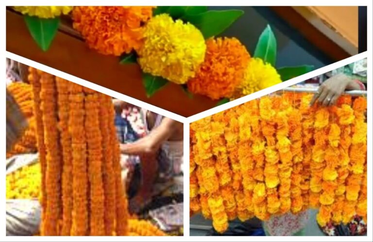 अवांतर, मराठीकथा, मराठीलेख, दसरा, तोरण, झेंडूचे तोरण, तोरण विकणारी, आंध्रमधील कुटुंब, सुखाचे तोरण