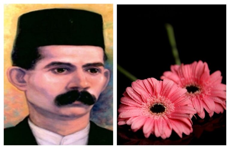 अवांतर, मराठीकथा, मराठीसाहित्य, मराठीलेख, मराठीआर्टिकल, गोविंदाग्रज, राम गणेश गडकरी, एखाद्याचे नशीब, कवितेचे रसग्रहण,