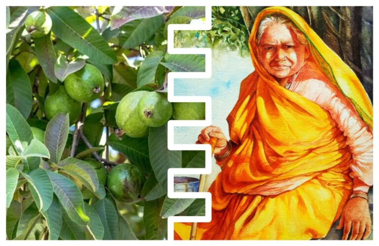 अवांतर, मराठीकथा, मराठीलेखक, मराठीवाचन, पेरूचं झाडं, शेवंताकाकू, मुक्ता अक्का, सुनंदा अक्का, मटणपार्टी,