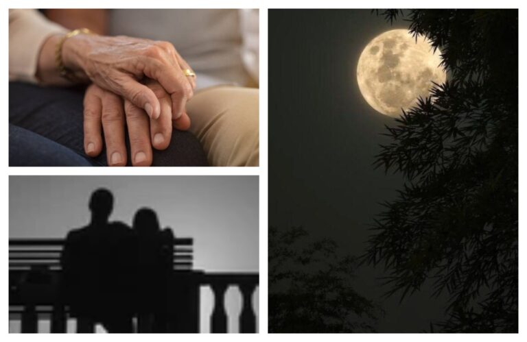 अवांतर, मराठीसाहित्य, मराठीआर्टिकल, चंद्र आहे साक्षीला, लष्करी शिस्त, मिलिटरी शिस्त, आयुष्याची संध्याकाळ, कौटुंबिक वाद, दिनकर मंदा, दिनकरची कथा, मंदाची कथा