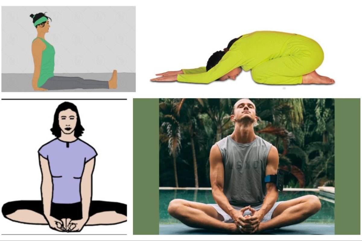 अवांतर, Aasana, Yoga, lifestyle, आसने, योग, जीवनशैली, Dandasana, Bhadrasana, Butterfly Asana, Shashankasana, दंडासन, भद्रासन, तितली आसन, शशांकासन