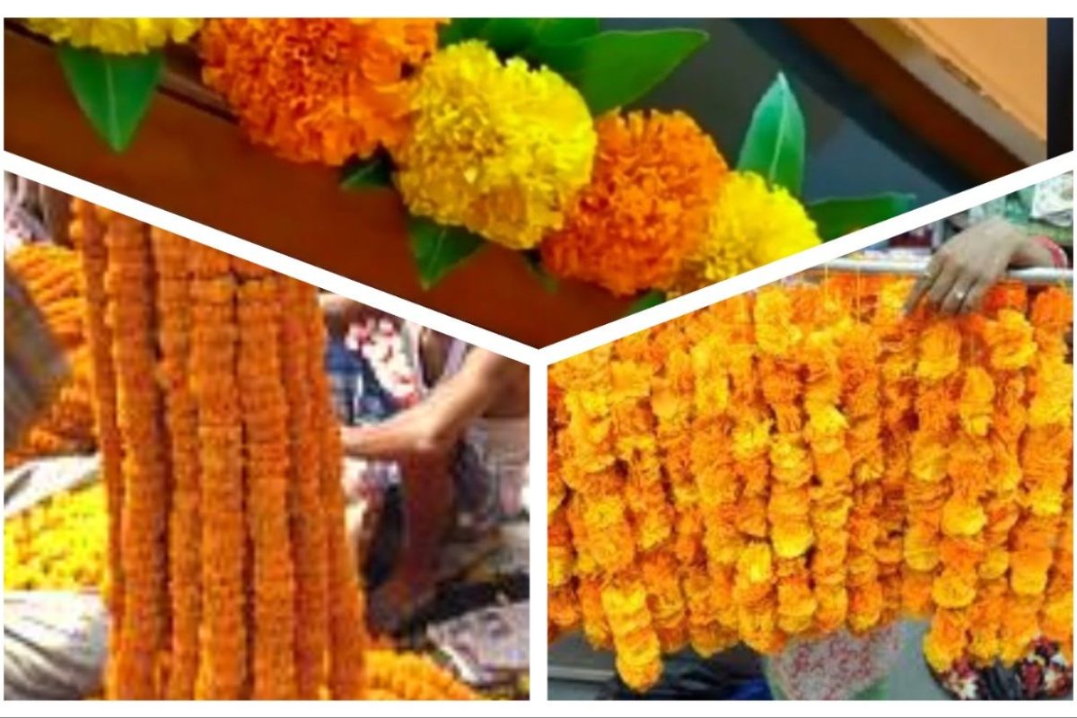 अवांतर, मराठीकथा, मराठीलेख, दसरा, तोरण, झेंडूचे तोरण, तोरण विकणारी, आंध्रमधील कुटुंब, सुखाचे तोरण