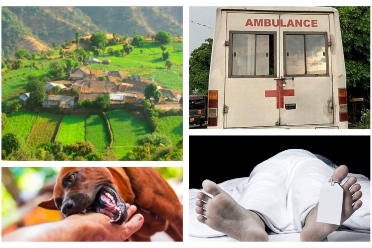 अवांतर, मराठीकथा, मराठीलेखक, मराठीवाचन, मराठीसाहित्य, नवसाचा मुलगा, पाटलाचा सुनील, सुनीलला रेबीज, नवसाचा सुनील, प्राणघातक रेबीज,