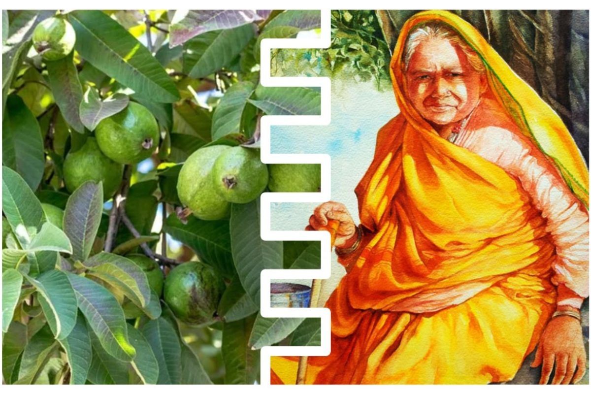 अवांतर, मराठीकथा, मराठीलेखक, मराठीवाचन, पेरूचं झाडं, शेवंताकाकू, मुक्ता अक्का, सुनंदा अक्का, मटणपार्टी,