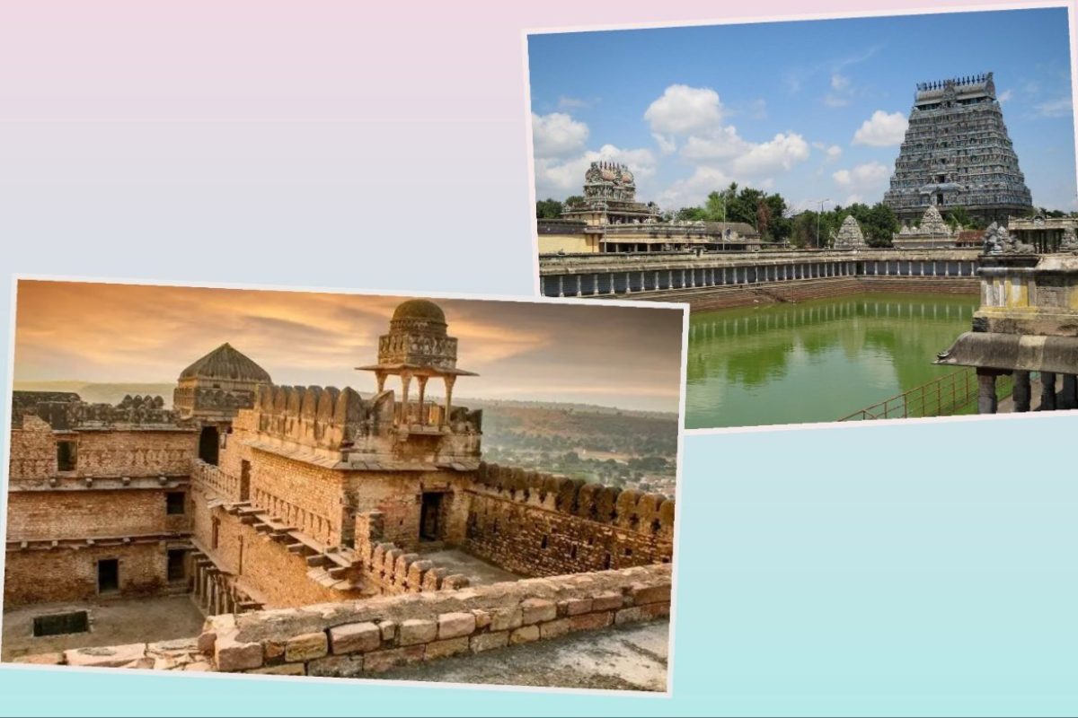 अवांतर, मराठीलेख, मराठीआर्टिकल, गाईड, असाधारण गाईड, चंदेरी, चिदंबरम नटराज मंदिर, चिदंबर मंदिर, नटराज मंदिर, विणकरांचे गाव, कल्लेभाई, इतिहासकार गाईड, वनस्पतिशास्त्रज्ञ गाईड,