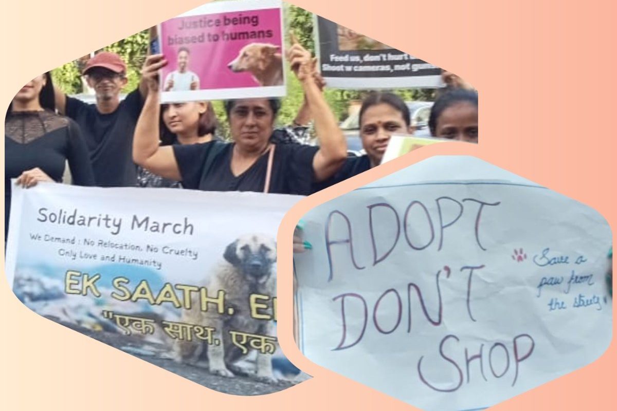 अवांतर, मराठीकथा, मराठीसाहित्य, मराठीलेख, मराठीआर्टिकल, Stray dogs, Injustice to dogs, Dog Lovers, Dog Haters, श्वानप्रेमी, प्राणीमित्र, सुप्रीम कोर्ट, भटके कुत्रे, कुत्र्यांवर अन्याय, डॉगेशभाई