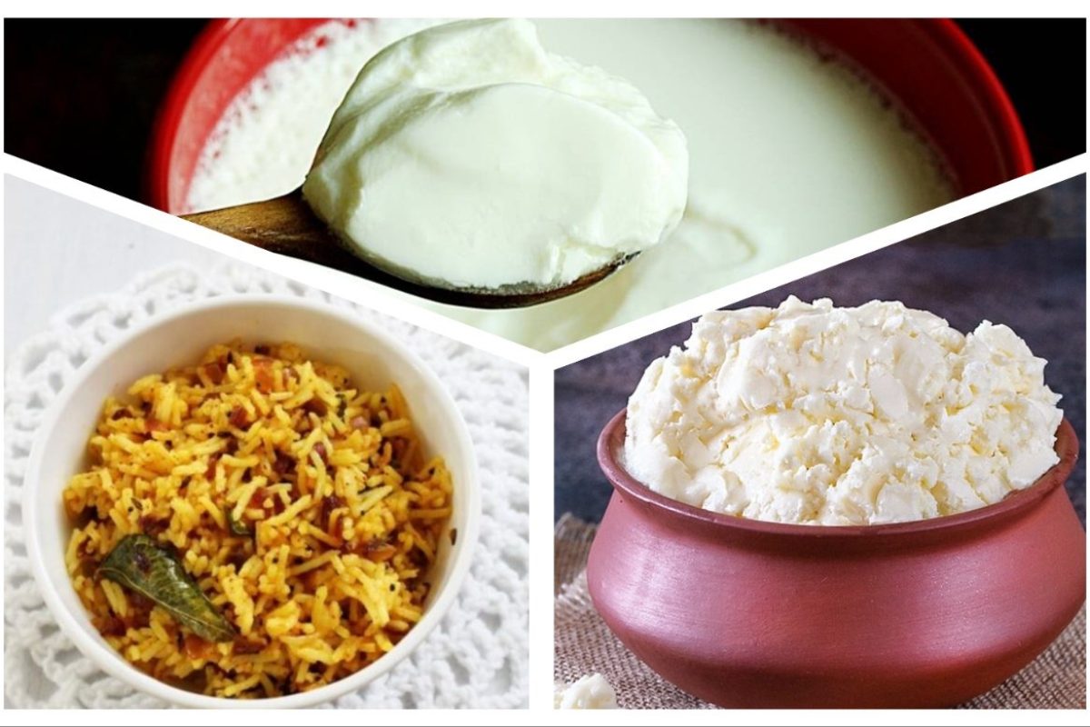 अवांतर, रेसिपी, Recipe, Kitchen Tips, किचन टीप्स, किचन टिप्स, झटपट दही, फोडणीचा भात, टिकाऊ लोणी