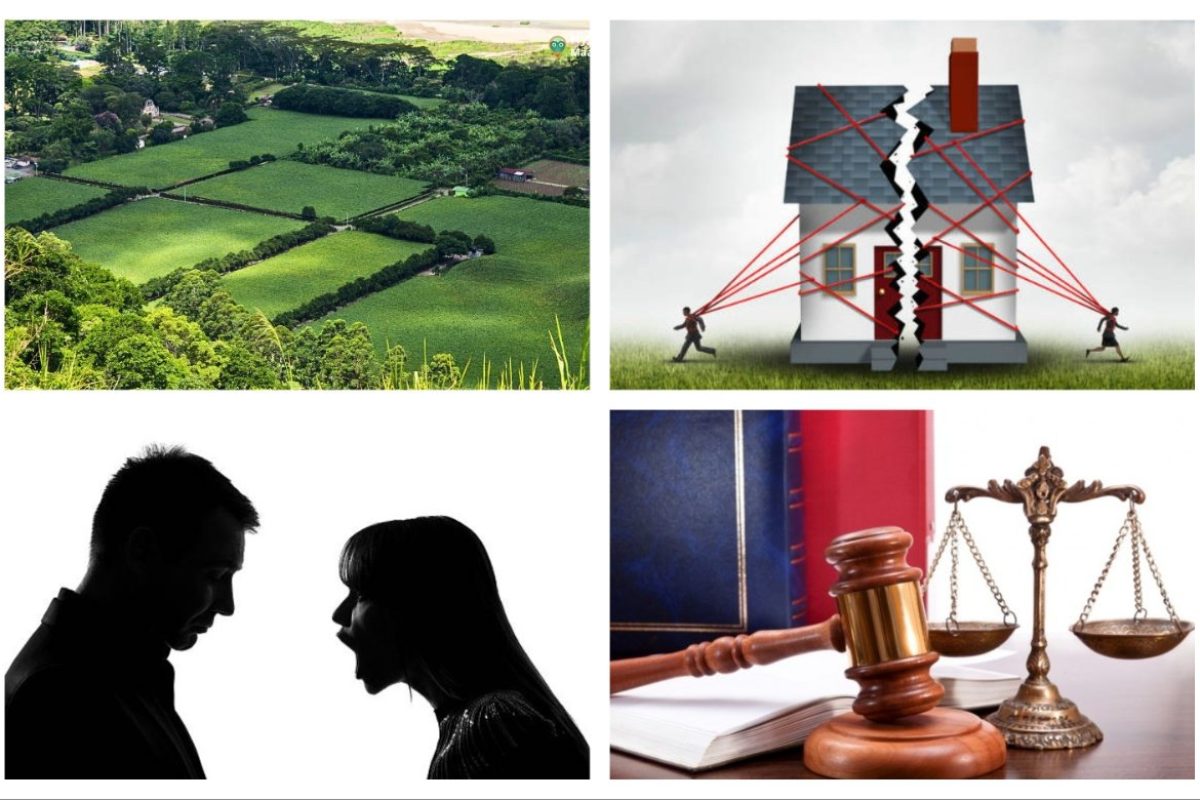 अवांतर, मराठीसाहित्य, मराठीआर्टिकल, भाऊबहीण, जमिनीचा तुकडा, वाटणी, हिस्सा, मीनाक्षी महेश, Brother, sister, piece of land, division, share, Meenakshi, Mahesh