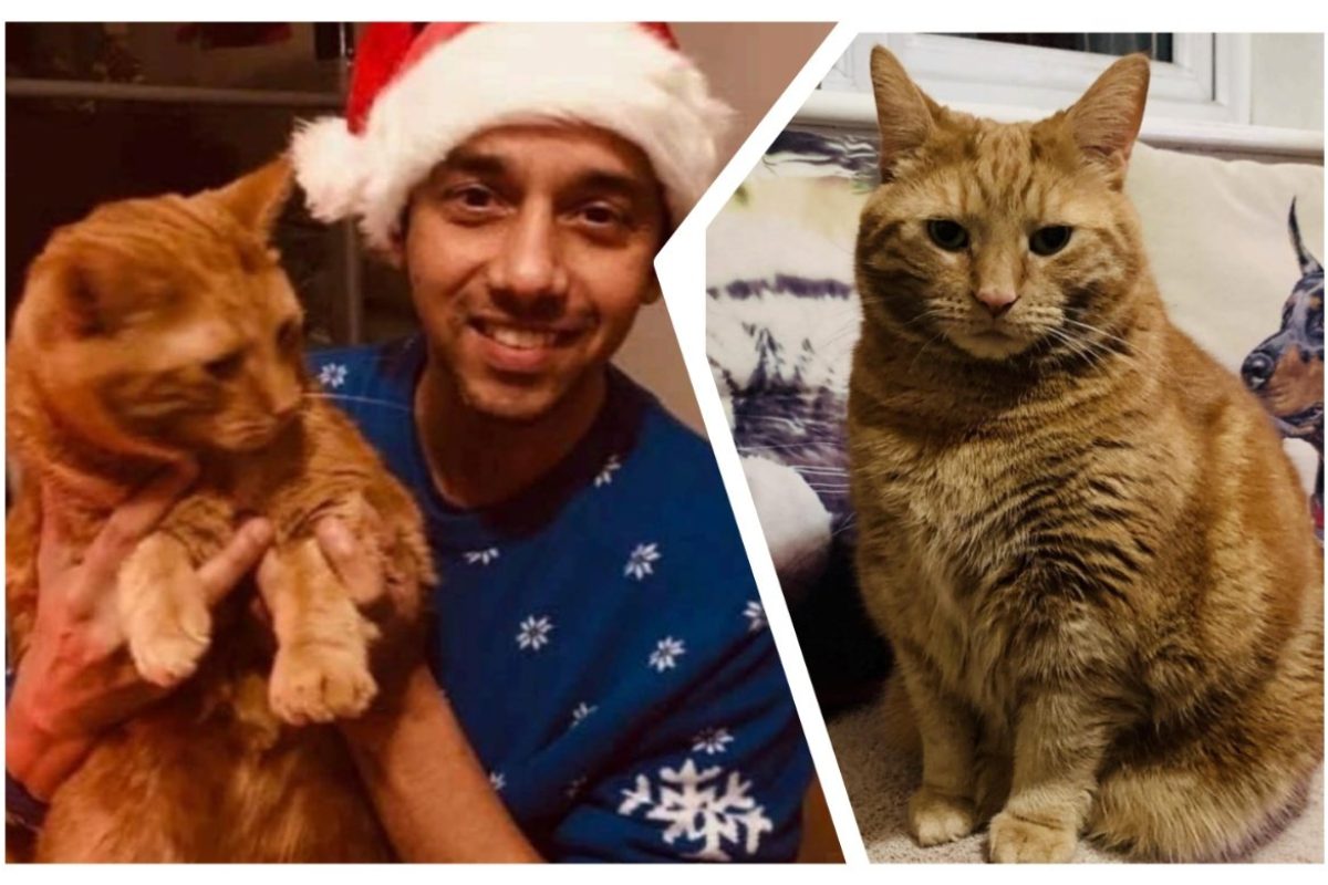 अवांतर, मराठीकथा, मराठीलेखन, मराठीआवृत्ती, मराठीसाहित्य, मराठीलेखक, मराठीमनोरंजन, मराठीवेबसाइट, मराठीआर्टिकल, मराठीस्टोरी, लिओ, पल्लवी, जेम्सबोवेन