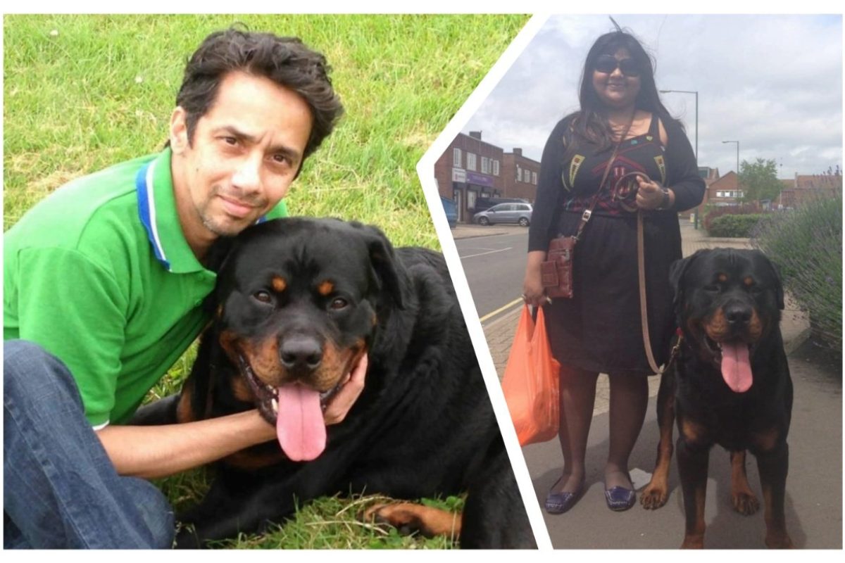 अवांतर, मराठीकथा, मराठीलेखन, मराठीआवृत्ती, मराठीसाहित्य, मराठीलेखक, मराठीमनोरंजन, मराठीवेबसाइट, मराठीआर्टिकल, मराठीस्टोरी, टायसन, रोटवीलर