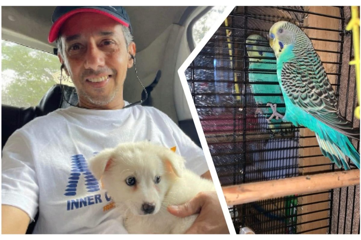 अवांतर, मराठीकथा, मराठीलेखन, मराठीआवृत्ती, मराठीसाहित्य, मराठीलेखक, मराठीमनोरंजन, मराठीवेबसाइट, मराठीआर्टिकल, मराठीस्टोरी, रीगल, डॉबरमॅन, मंदार_पाटील, लंडन_मुक्काम