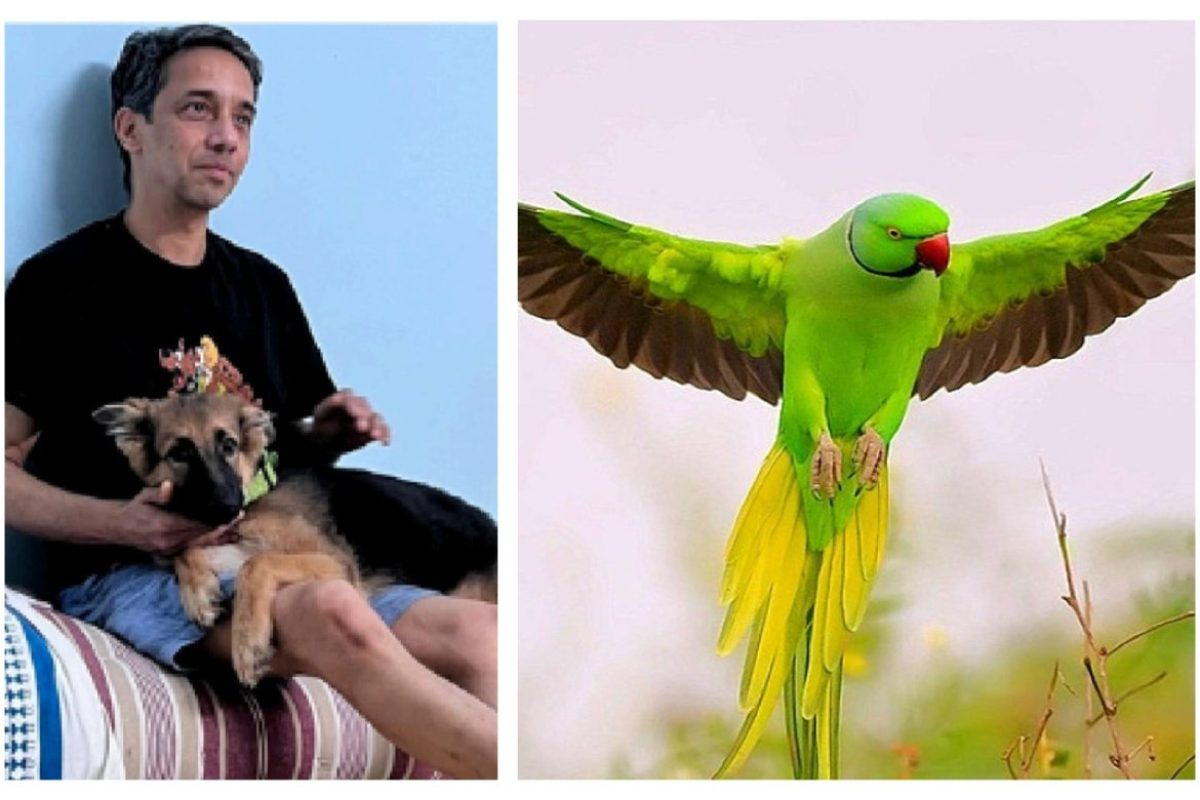 #अवांतर, #मराठीकथा, #मराठीलेखन, #मराठीआवृत्ती, #मराठीसाहित्य, #मराठीलेखक, #मराठीमनोरंजन #मराठीवेबसाइट, #मराठीआर्टिकल, #मराठीस्टोरी