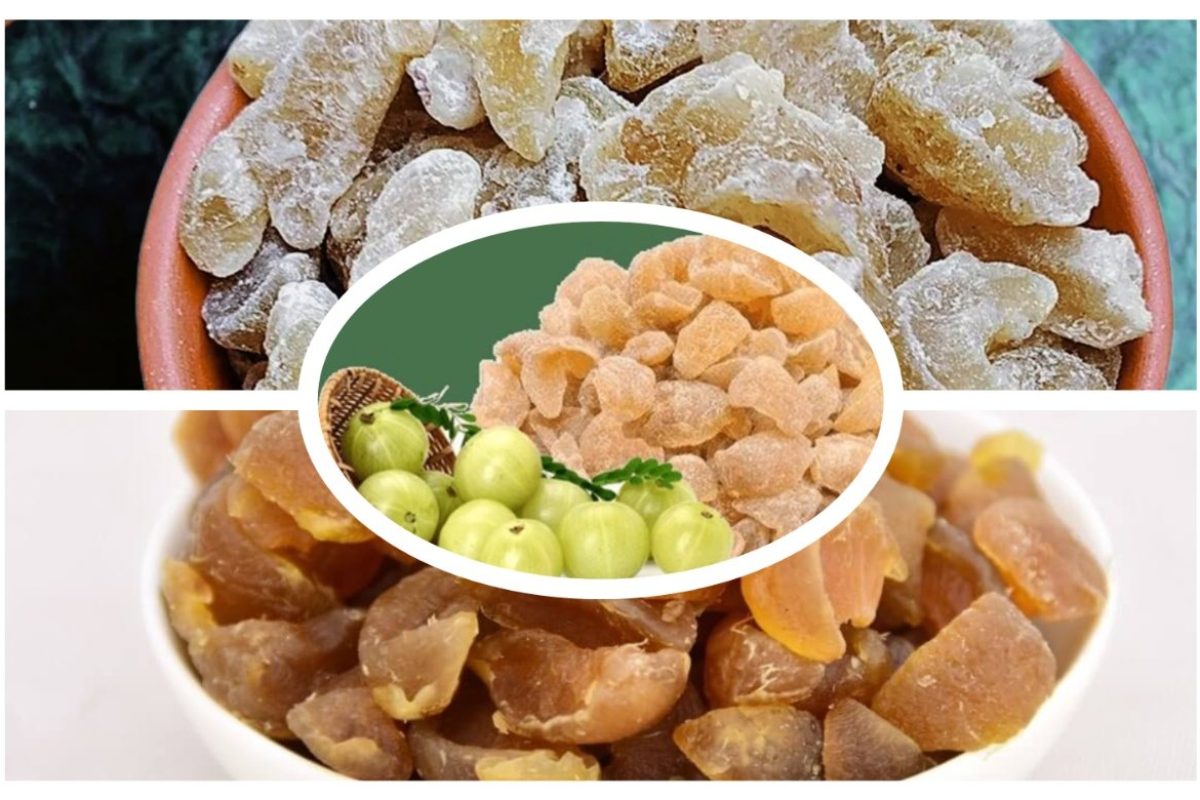 अवांतर, रेसिपी, Recipe, Kitchen Tips, किचन टीप्स, किचन टिप्स, गुणकारी आवळा, आवळा कँडी, औषधी आवळा, औषधी आवळा कँडी,